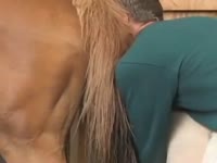 Sexy white pony nicely banged in doggy style pose